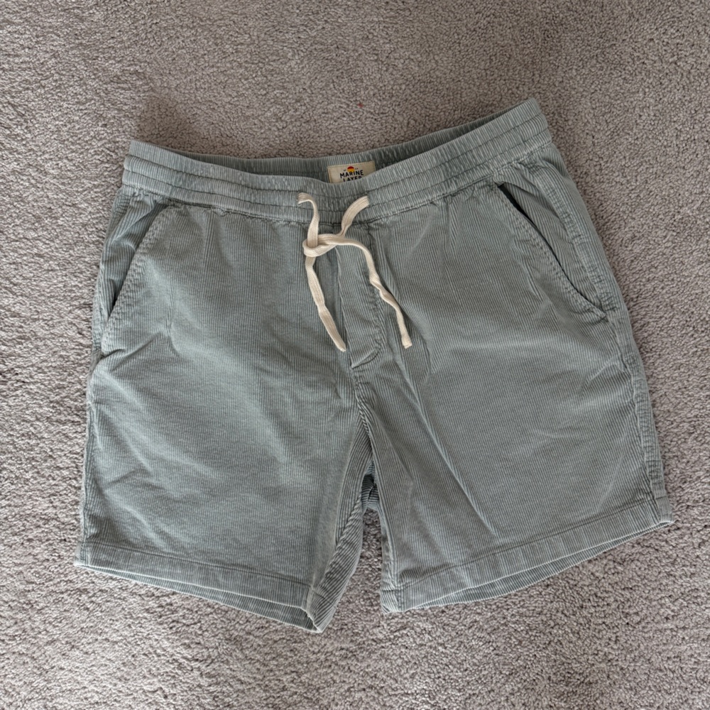 Marine Layer Light Sage Green Corduroy Shorts